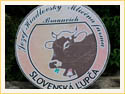 2022-seniori-slovenska-lupca-0607_040